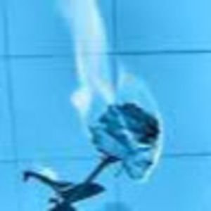 Meet your Posher, Aliya